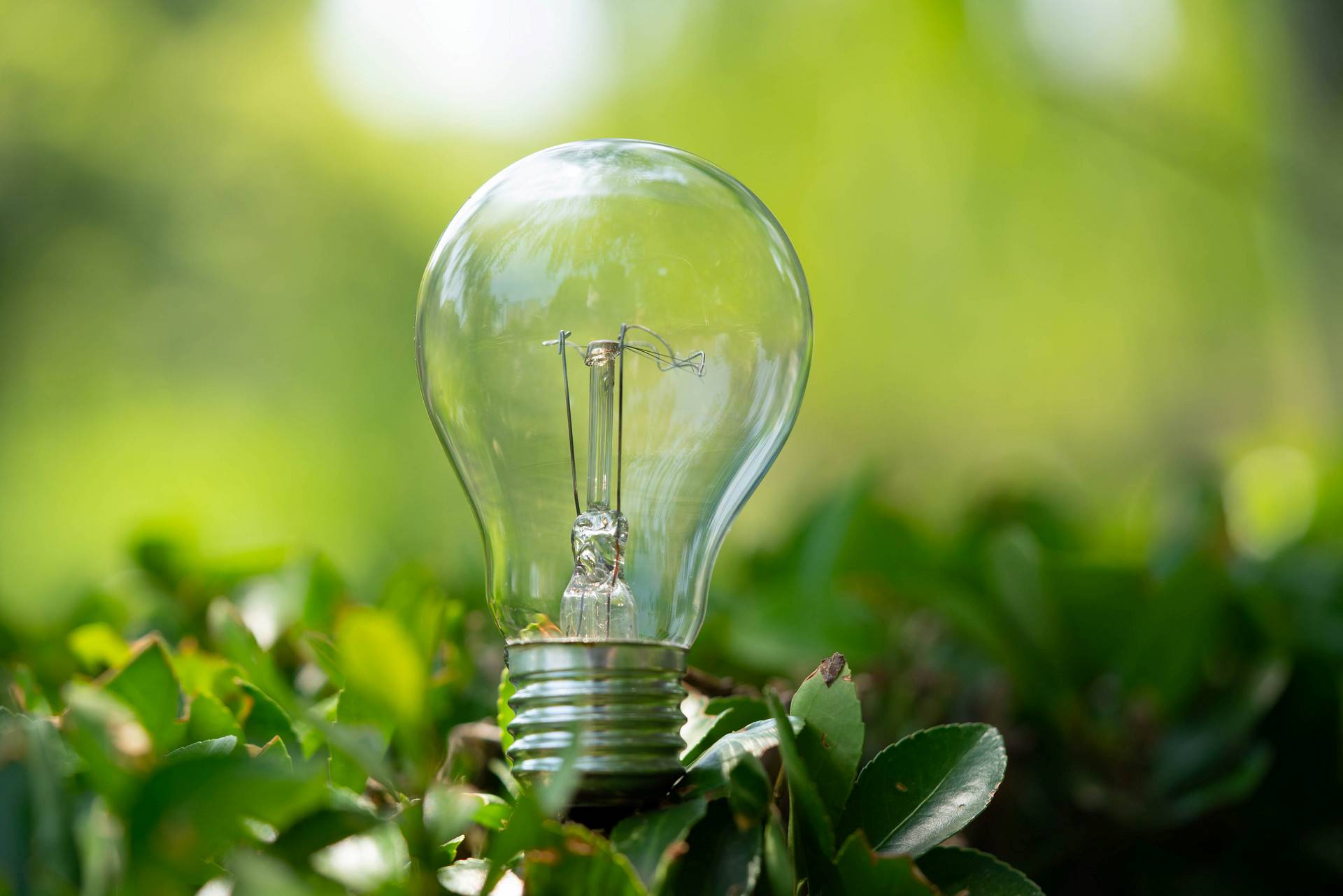 能源治理及利用